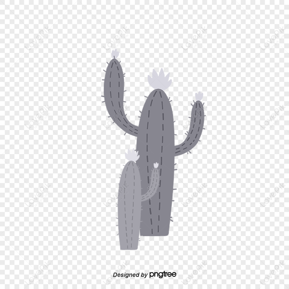 Cactus Silhouette PNG And Vector Images Free Download - Pngtree