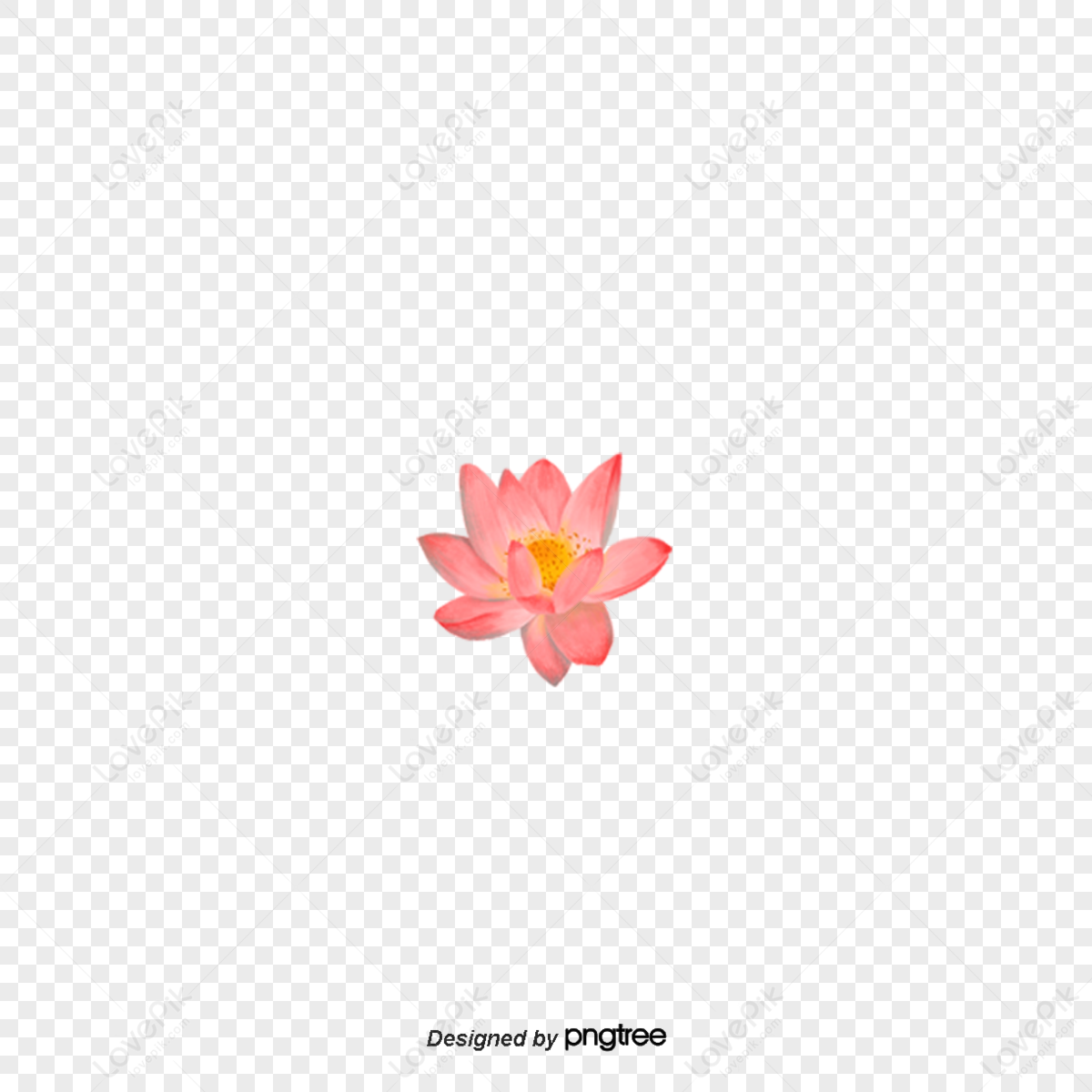 Hand-painted Pink Flower Plants,lotus,painted Flowers,pink Flowers PNG ...