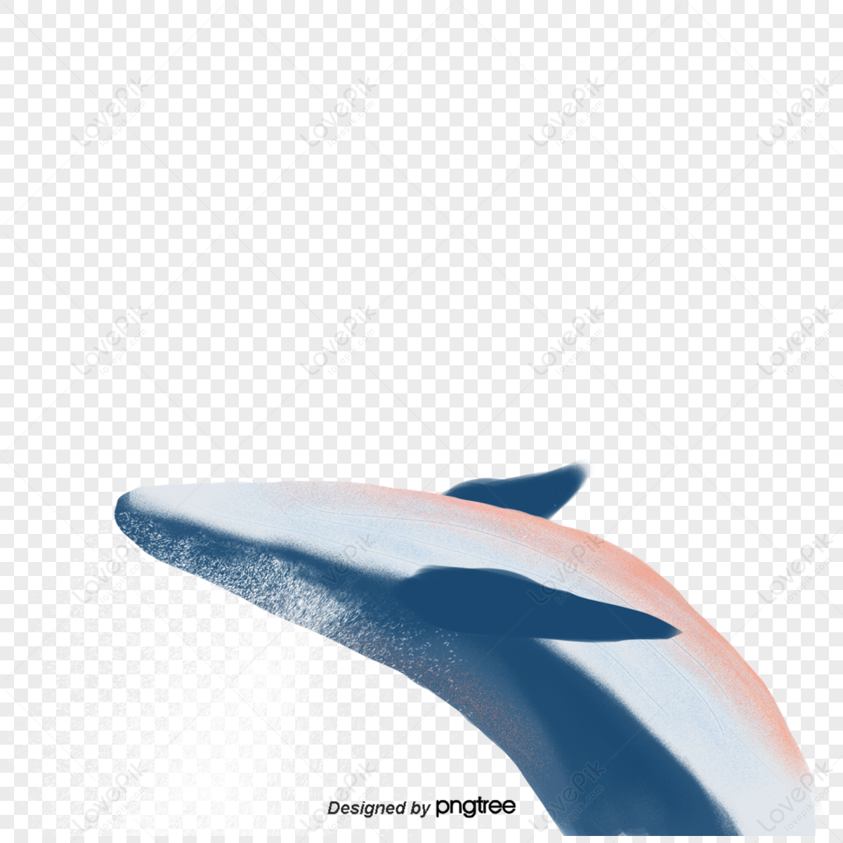 Dolphin Anime Pictures Images, HD Pictures For Free Vectors Download -  Lovepik.com