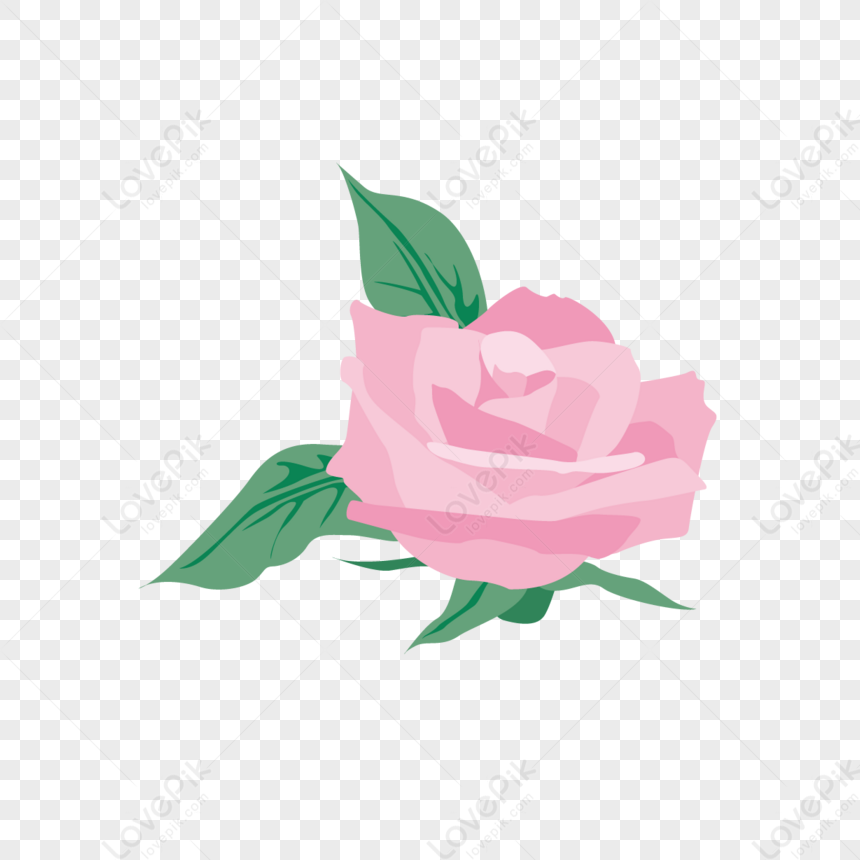 Fundo De Rosas Rosa PNG , Png, Flores Cor De Rosa, Folhas Imagem PNG e  Vetor Para Download Gratuito