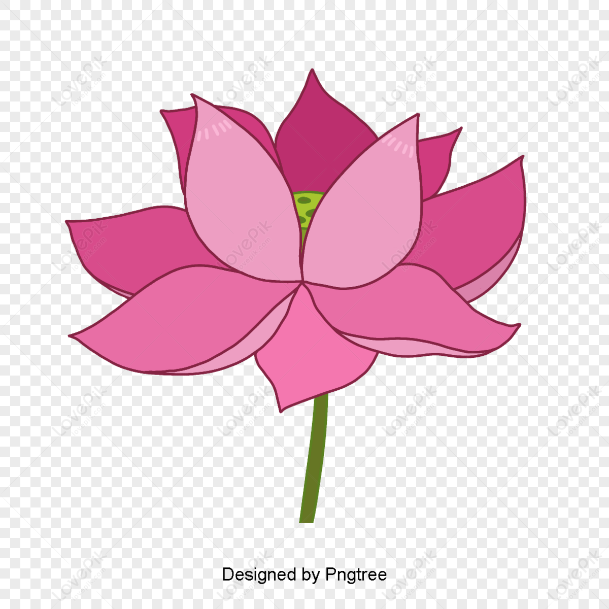 <b>Lotus</b> Stereo Images, HD Pictures For Free Vectors Download - Lovepik.com.