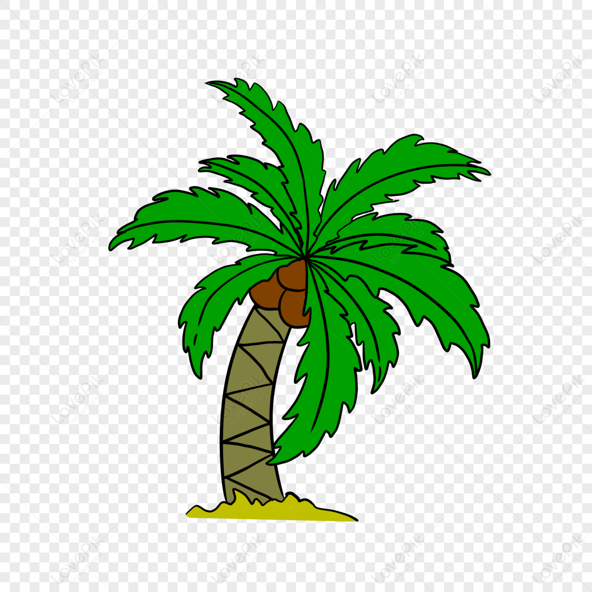 Tropical Palm Plants PNG Images With Transparent Background | Free ...