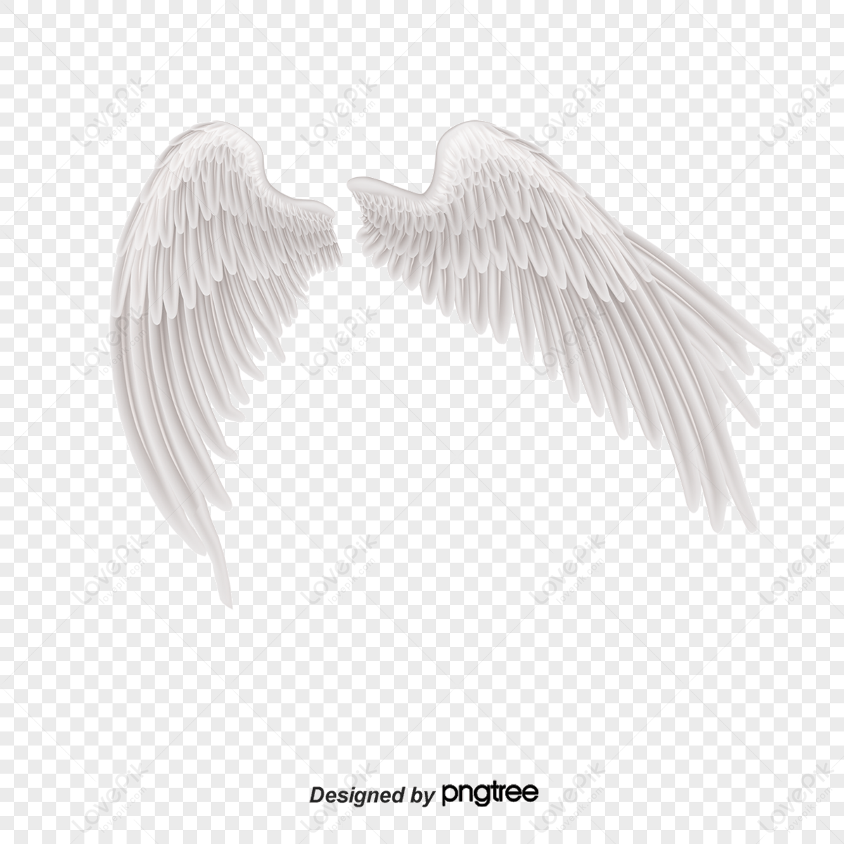 White Angel Wings,feather,texture,white Angels Free PNG And Clipart ...