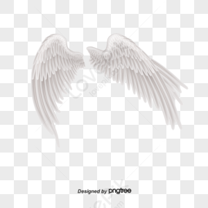 White Angel Wings PNG Images With Transparent Background | Free ...