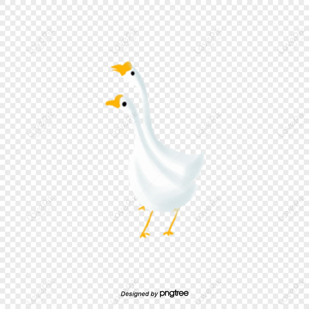 Two Duck PNG Images With Transparent Background | Free Download On Lovepik