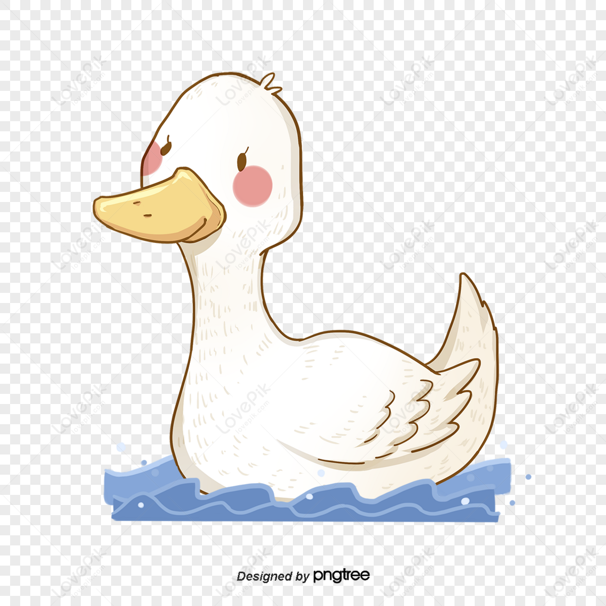 Cute Duck PNG Images With Transparent Background