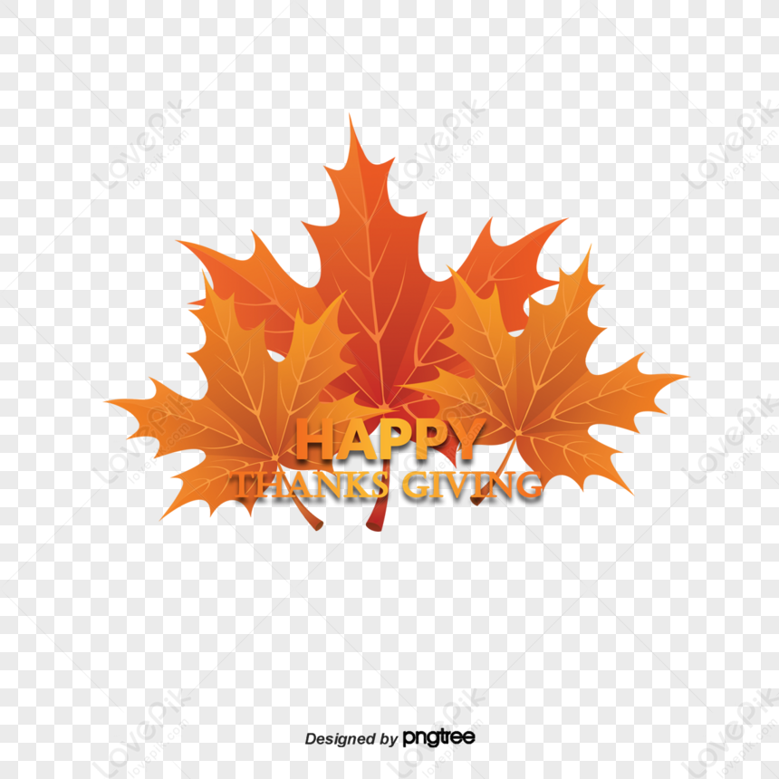 Yellow Handpainted Maple Leaf Thanksgiving Elements,festival,grateful