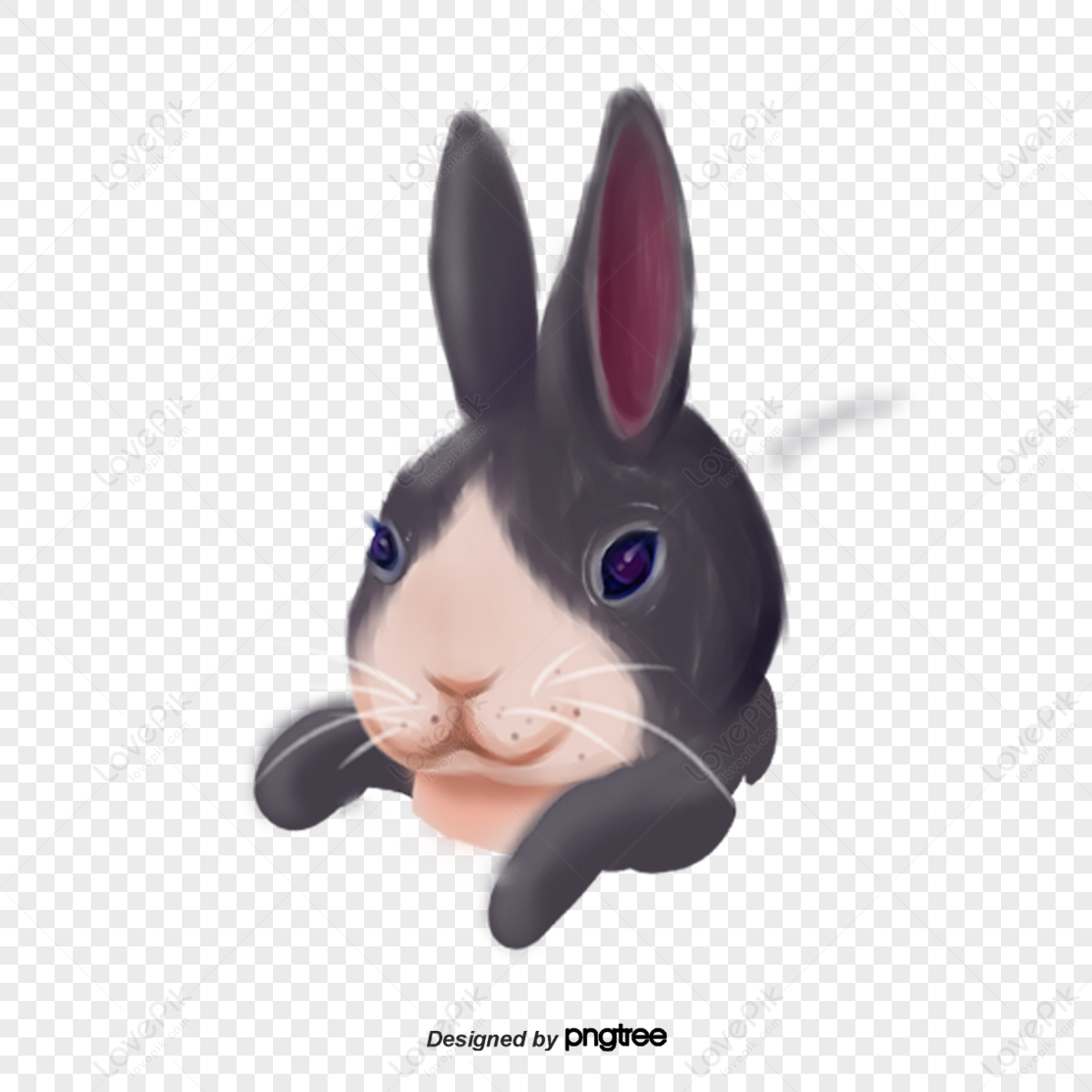 Black Rabbit PNG Images With Transparent Background
