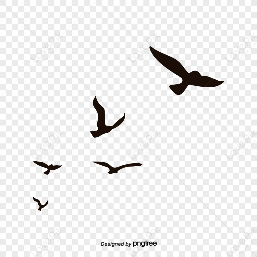 Cartoon Exotic Colorful Bird - Flying on White Background Stock  Illustration - Illustration of backdrop, beautiful: 131762334