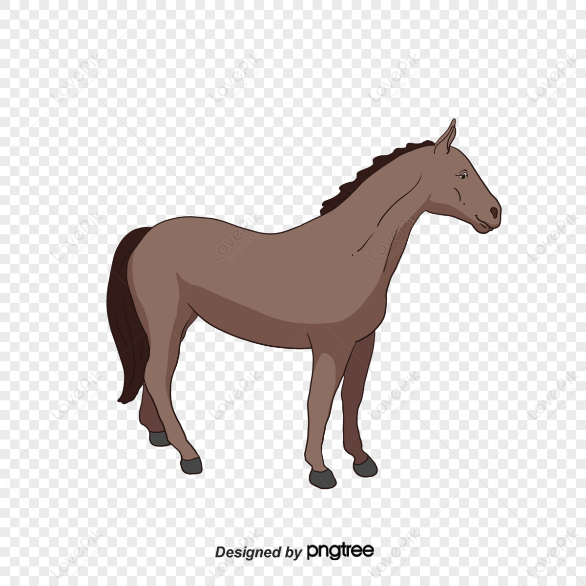 Horse Cartoon png download - 512*512 - Free Transparent Horse png Download.  - CleanPNG / KissPNG