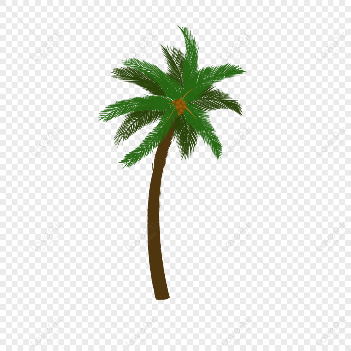 Elemental Illustration Of Green Palm Tree,plant,sabal Palmetto Free PNG ...