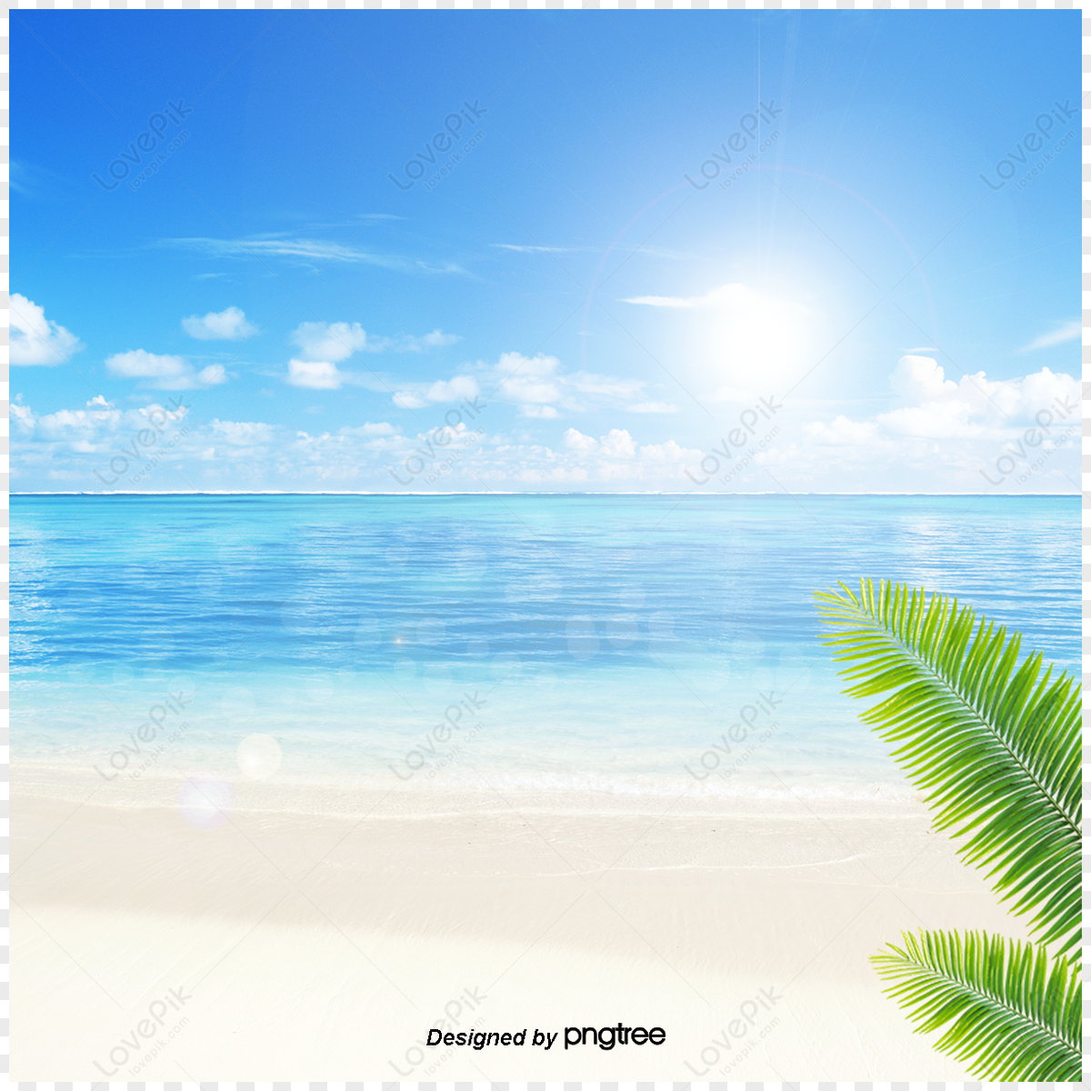 Fresh Style Sunshine Background,summertime,blue Sky,sandy Beach PNG ...