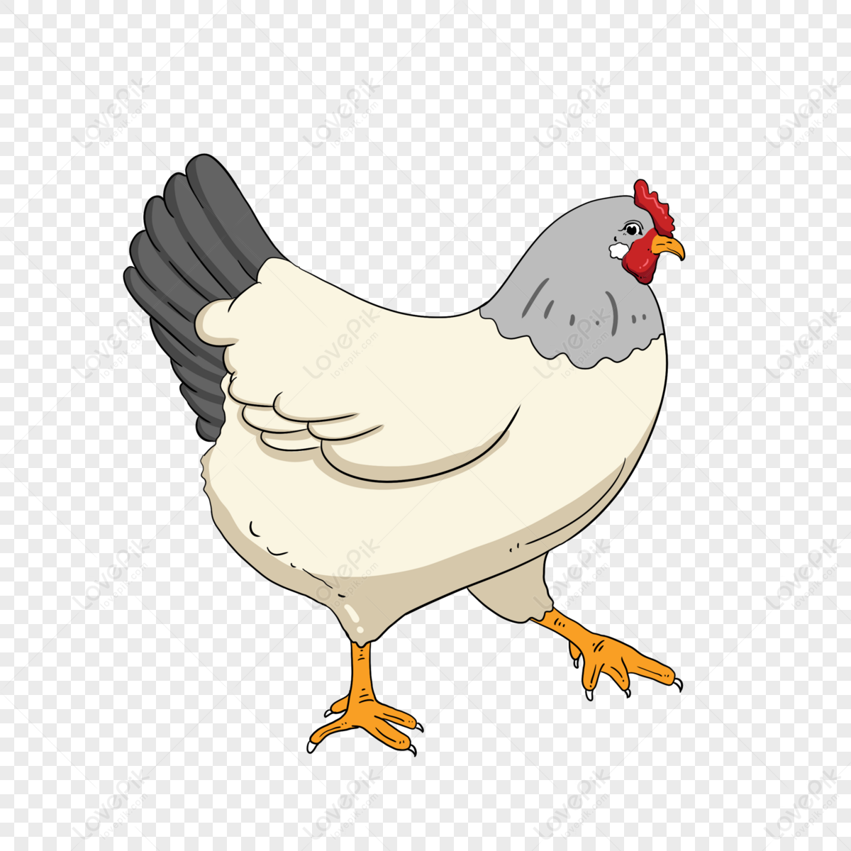 Hen Clipart PNG Images, Vector Painted Old Hen, Hen Clipart