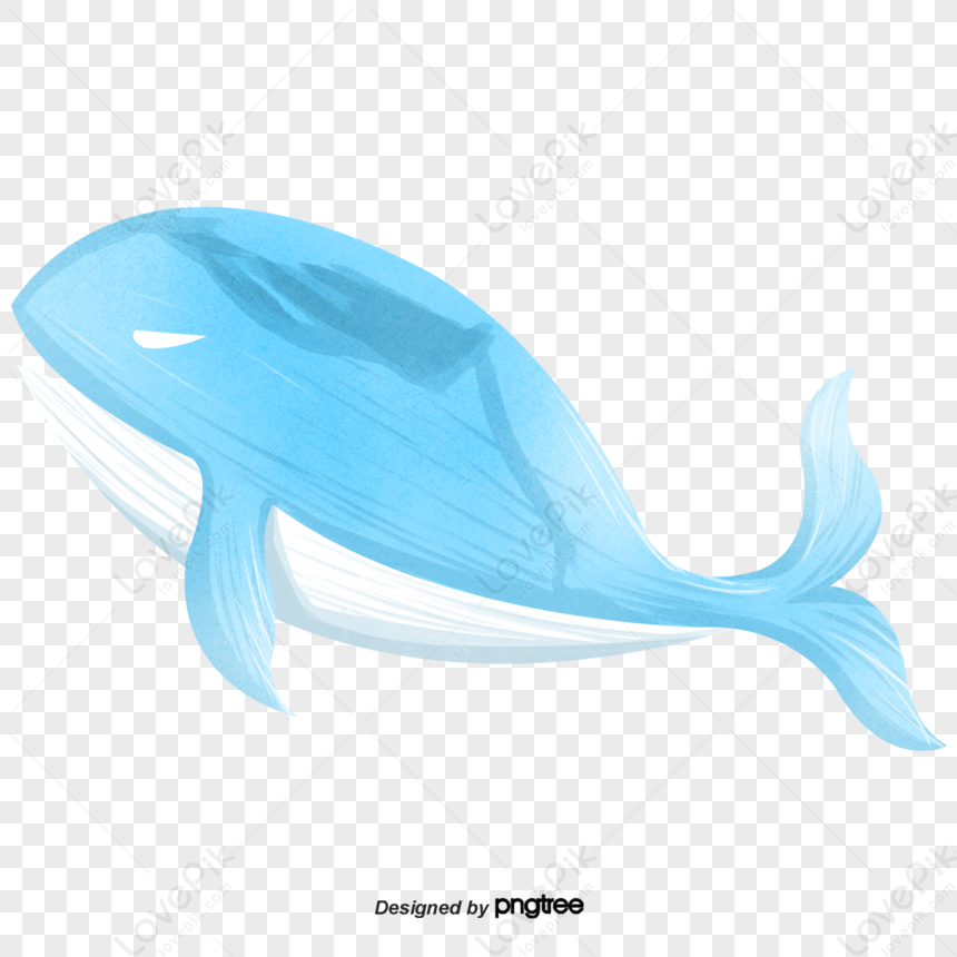 I had an Idea of an Anime girl as a beluga whale 🐳🤍 : r/belugawhales