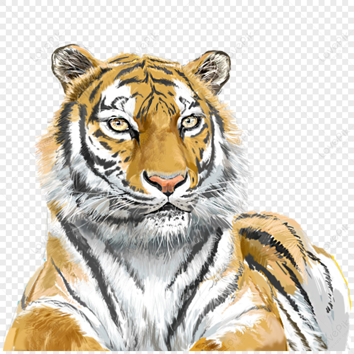 Hand-painted Elements Of Tiger And Beast,anime,fierce And Fierce PNG ...