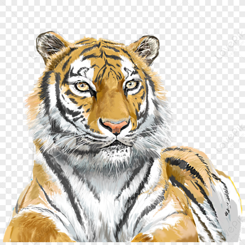Hand-painted Elements Of Tiger And Beast,anime,fierce And Fierce PNG ...