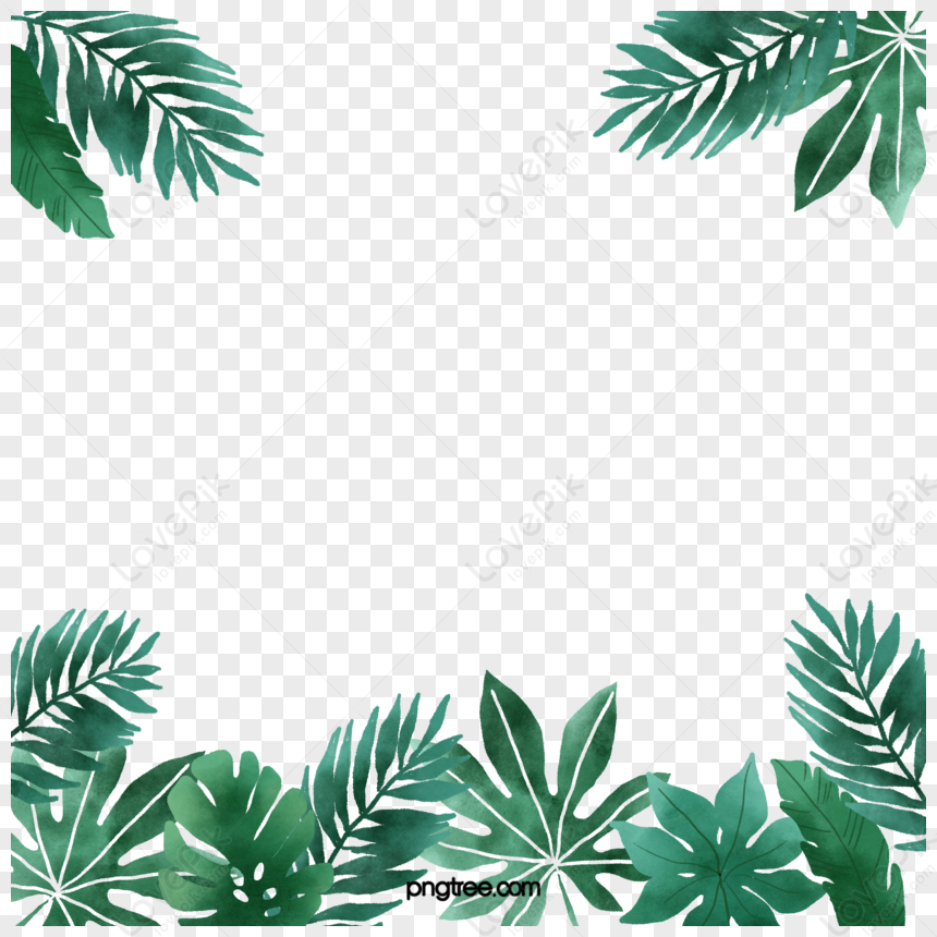 Hand-painted Watercolor Fresh Tropical Plant Border,leaf,fan PNG Image ...