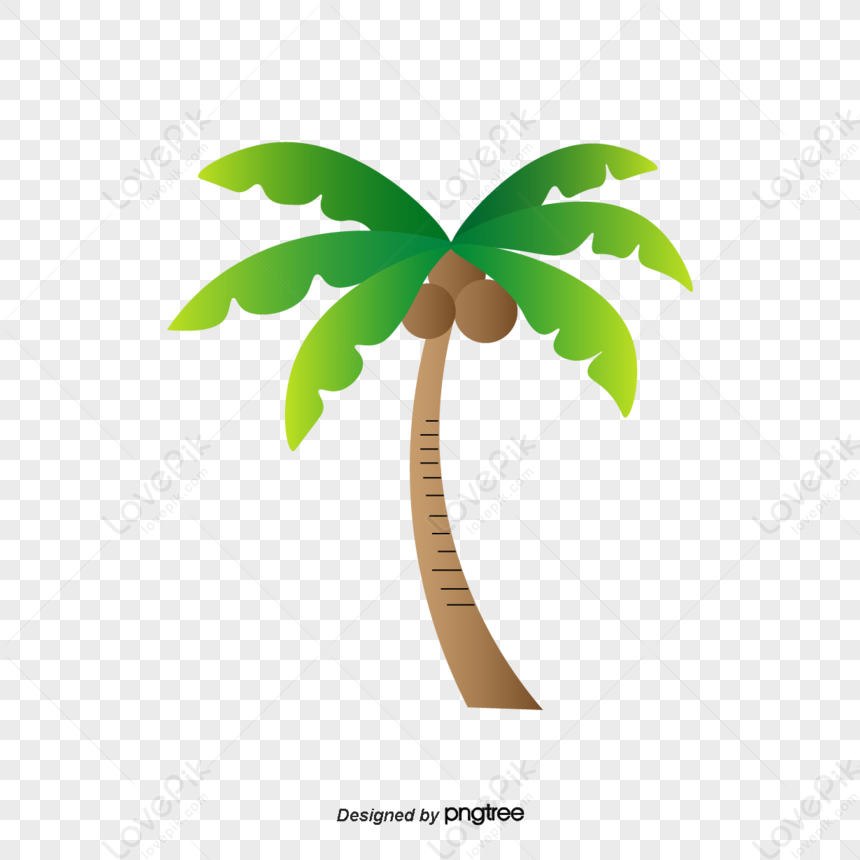 Seaside Green Palm Trees In Summer,cartoon Style,roystonea Regia PNG ...