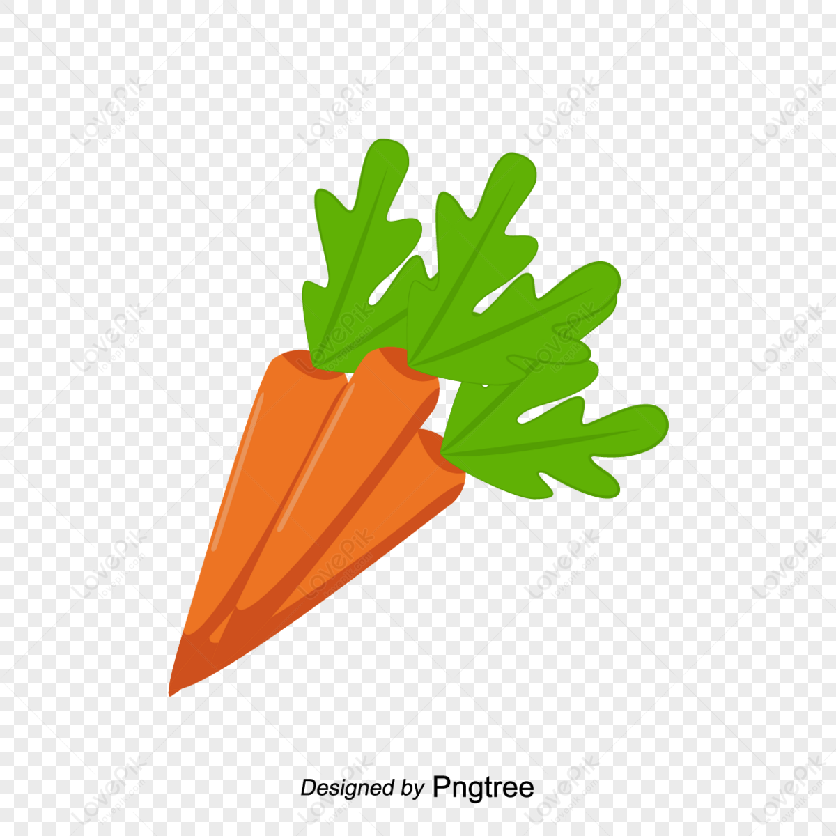 Zuppa Di Carote Fresche, Agricolo, Verdura, Ritaglio Immagine PNG e clipart  per il download gratuito