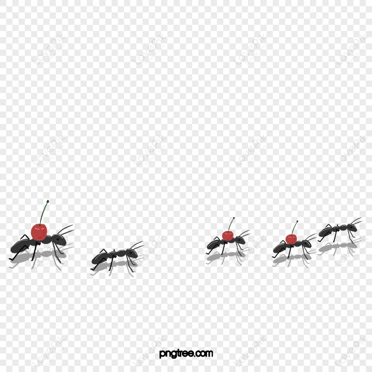 Black Ants PNG Images With Transparent Background | Free Download On ...