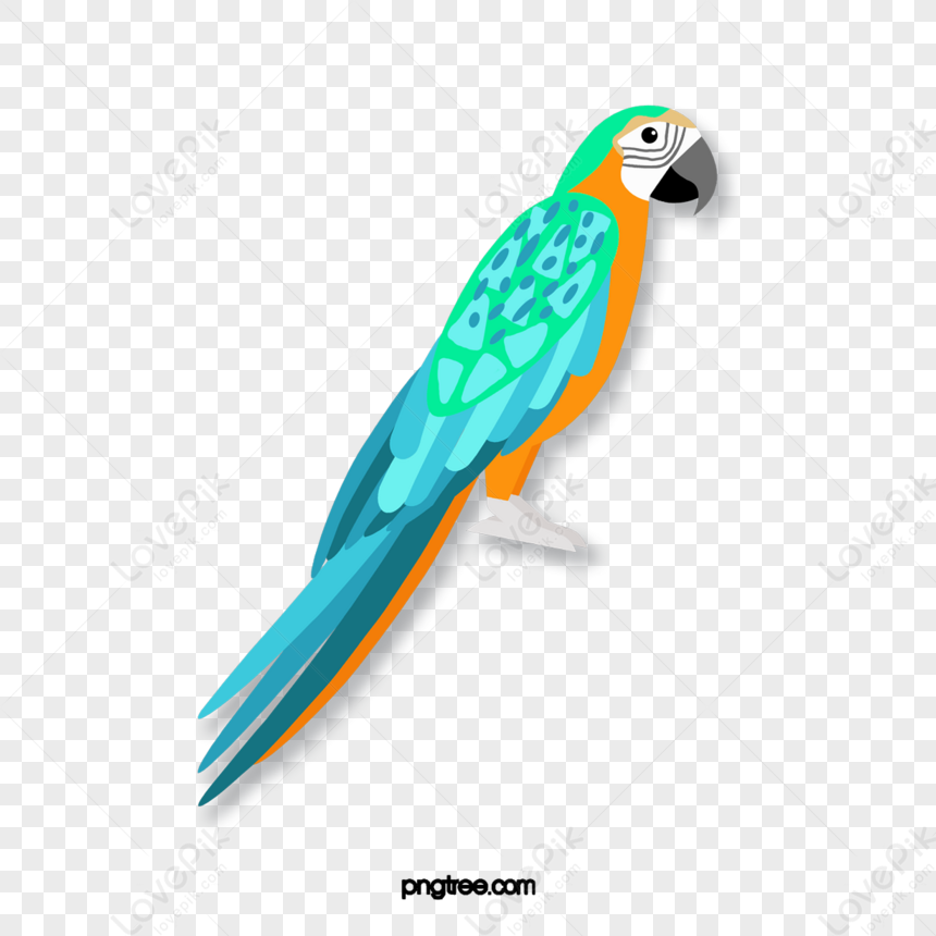 Cartoon Style Blue Parrot,feather,animal,birds PNG Picture And Clipart ...