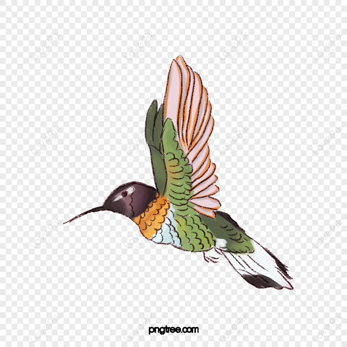 Bird Spreading Wings PNG Images With Transparent Background | Free ...