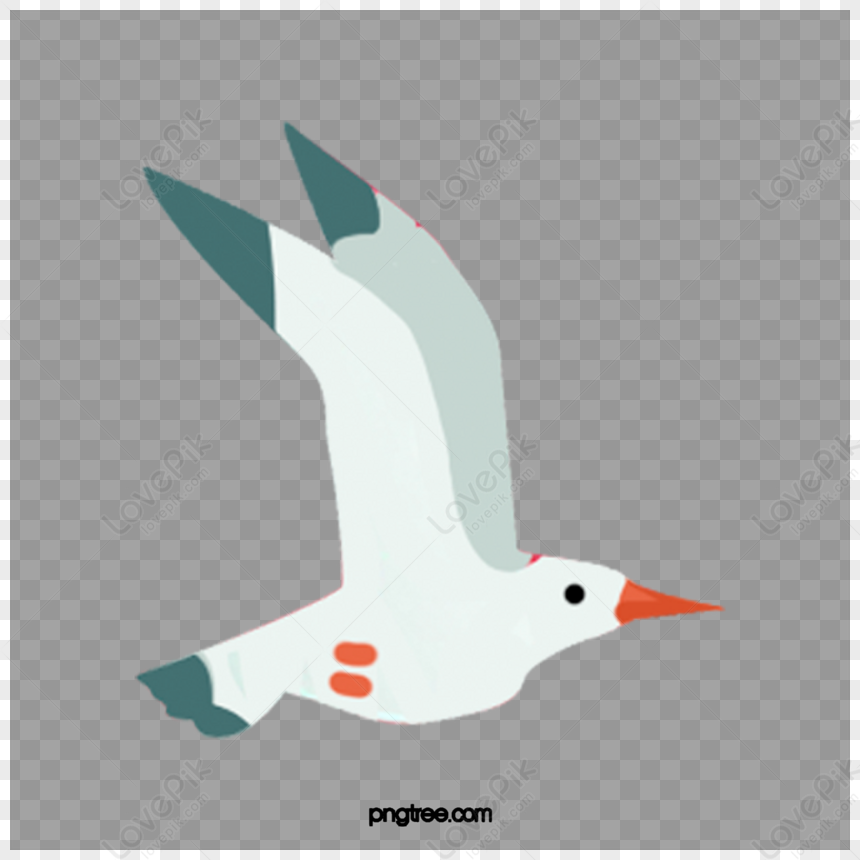 Robin, paradise, britiney spears, seagull, anime, HD wallpaper | Peakpx