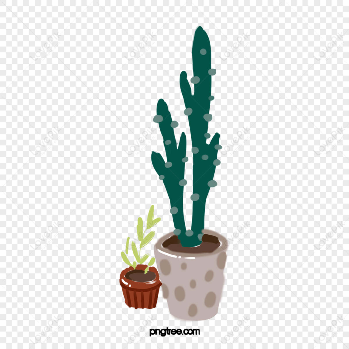 cactus and plant pots 9357097 PNG