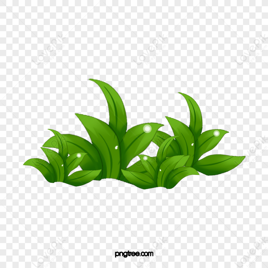 Green Plants Grass And Grass,decoration,illustration,branches And ...