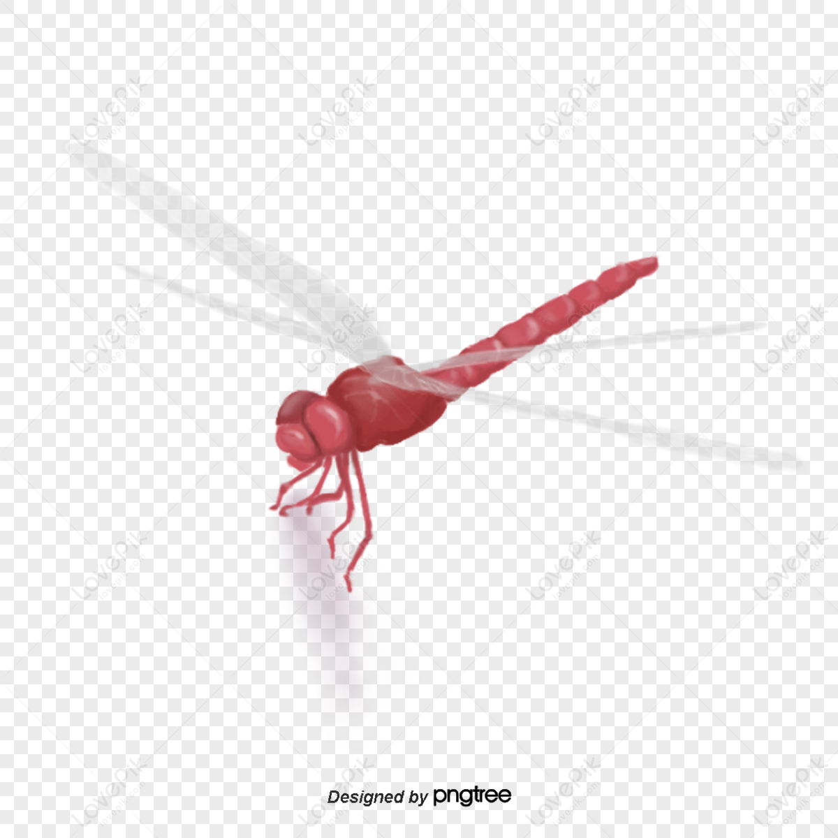 Insect Wing PNG Images With Transparent Background | Free Download On ...