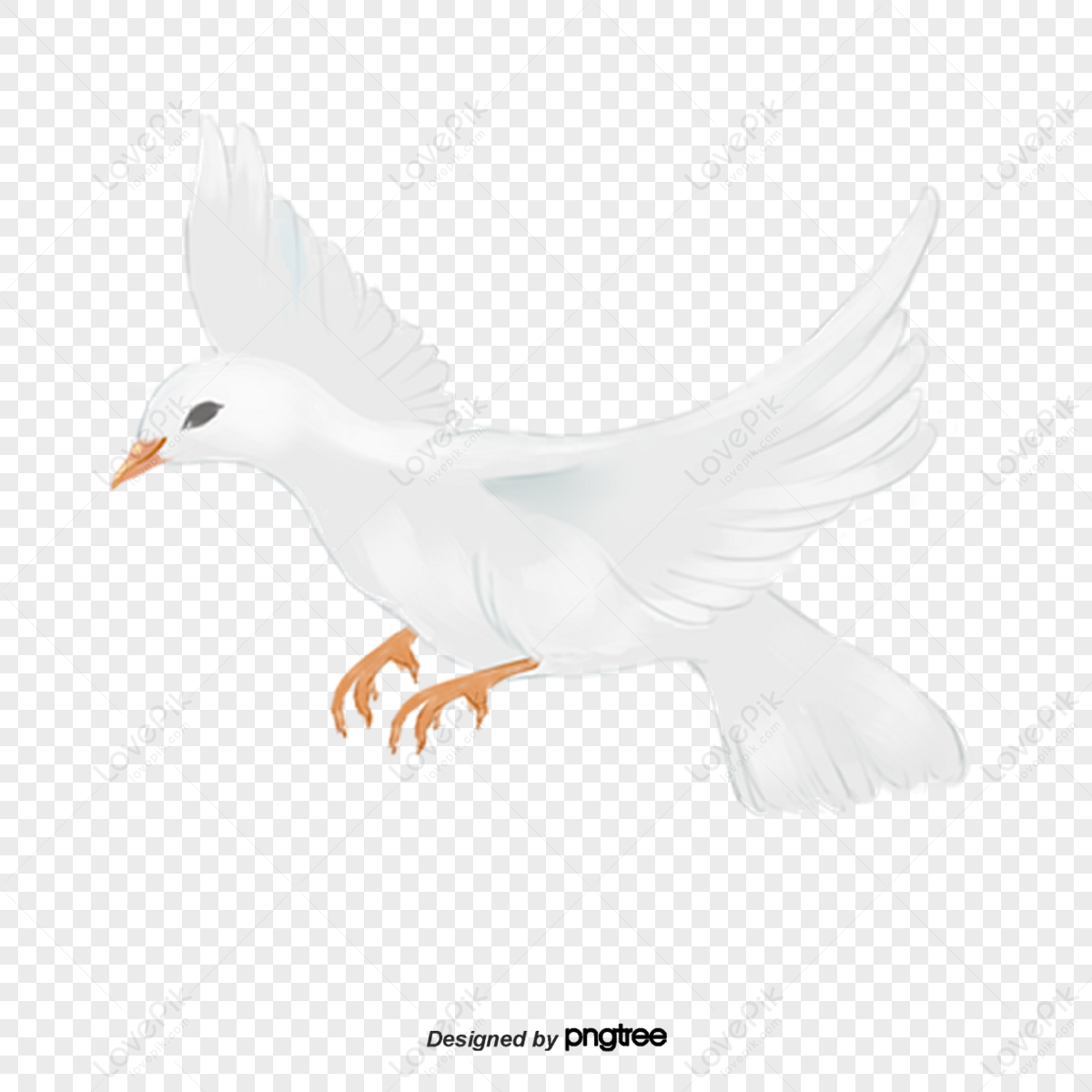 White Animal Pigeon Flying,anime,dove,flying Animals PNG Hd Transparent ...