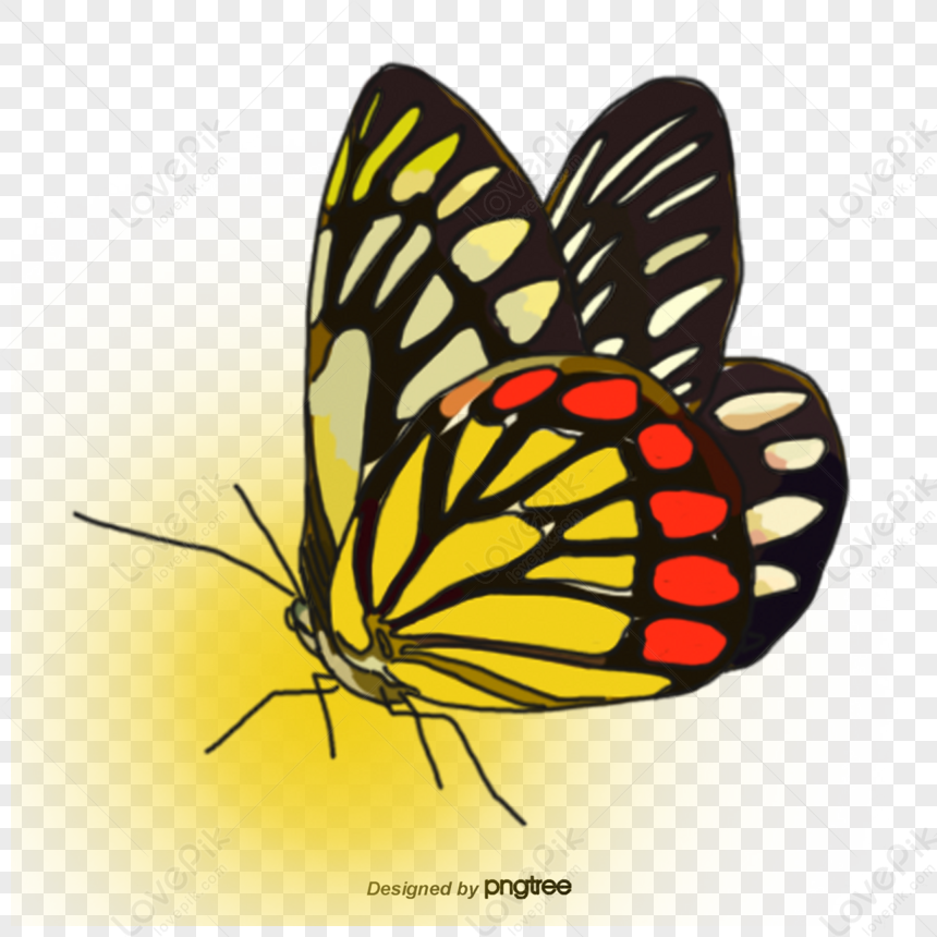 Uma Linda Borboleta Pintado Colorido Dos Desenhos Animados PNG , O Inseto  Dos Desenhos Animados, Desenho De Borboleta, Uma Borboleta Colorida Imagem  PNG e Vetor Para Download Gratuito