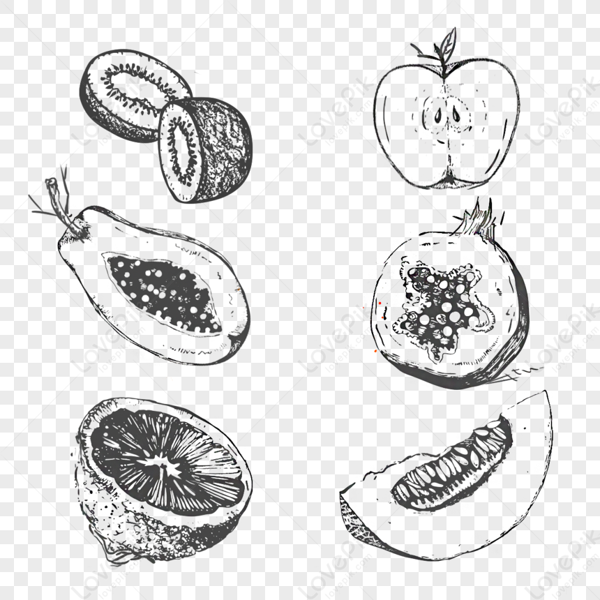 Tropical Fruit Sketch | Diane Antone Studio