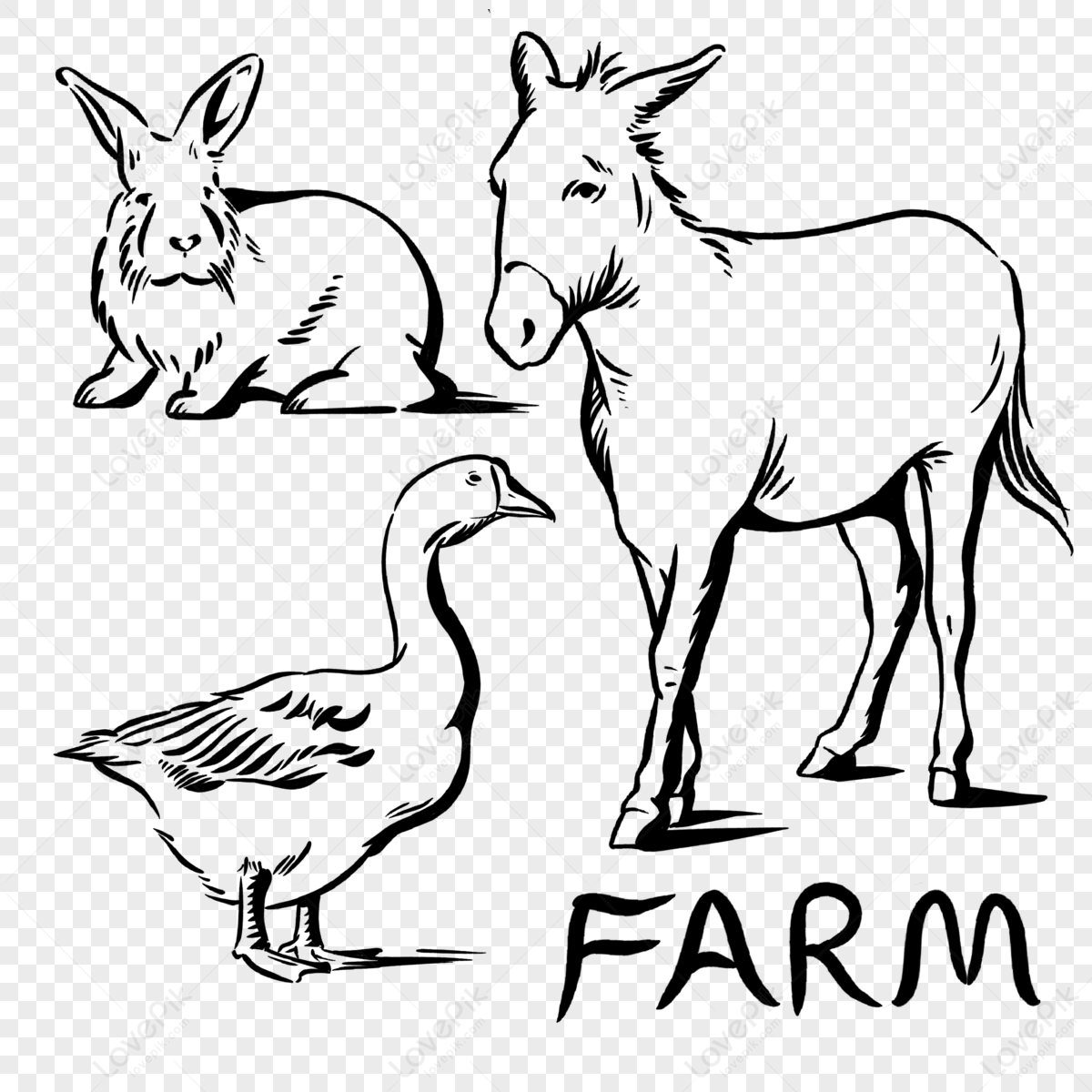 Animal Line Drawing PNG Images With Transparent Background | Free ...