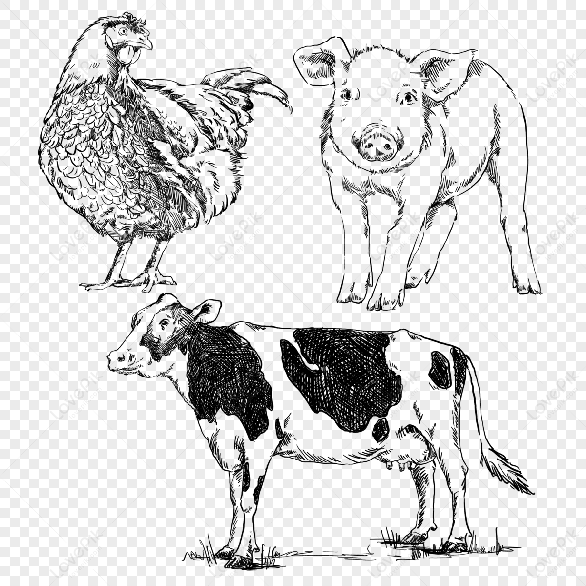 farm animals. set of vector sketches on a white background | Vector sketch,  Sketches, Farm animals