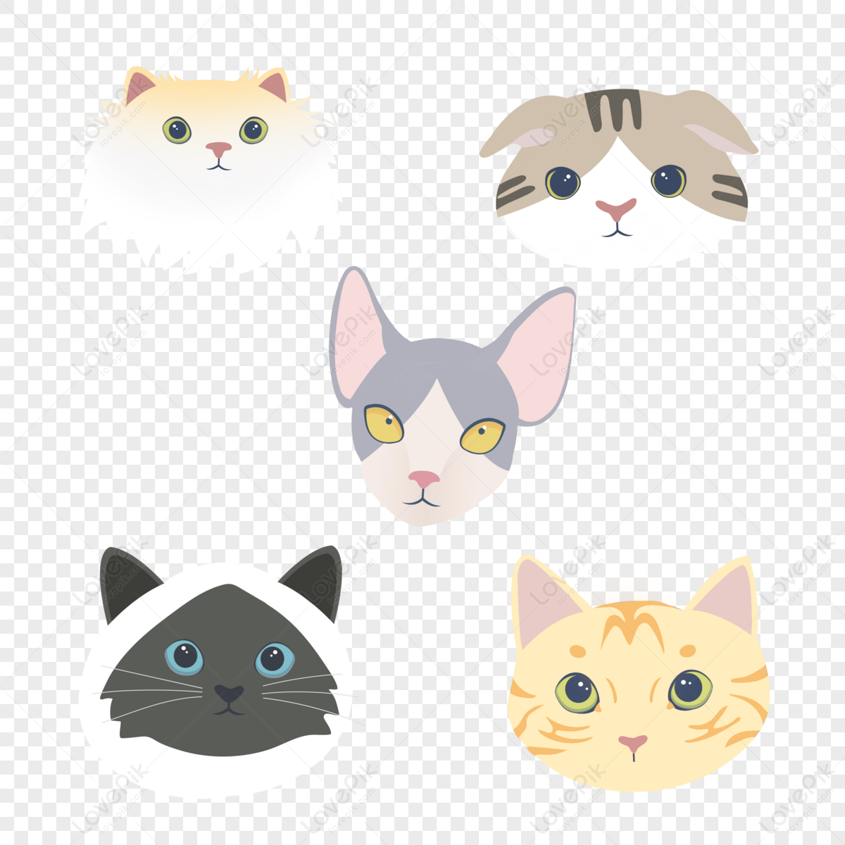 Dog And Cat png download - 768*768 - Free Transparent Cat png Download. -  CleanPNG / KissPNG