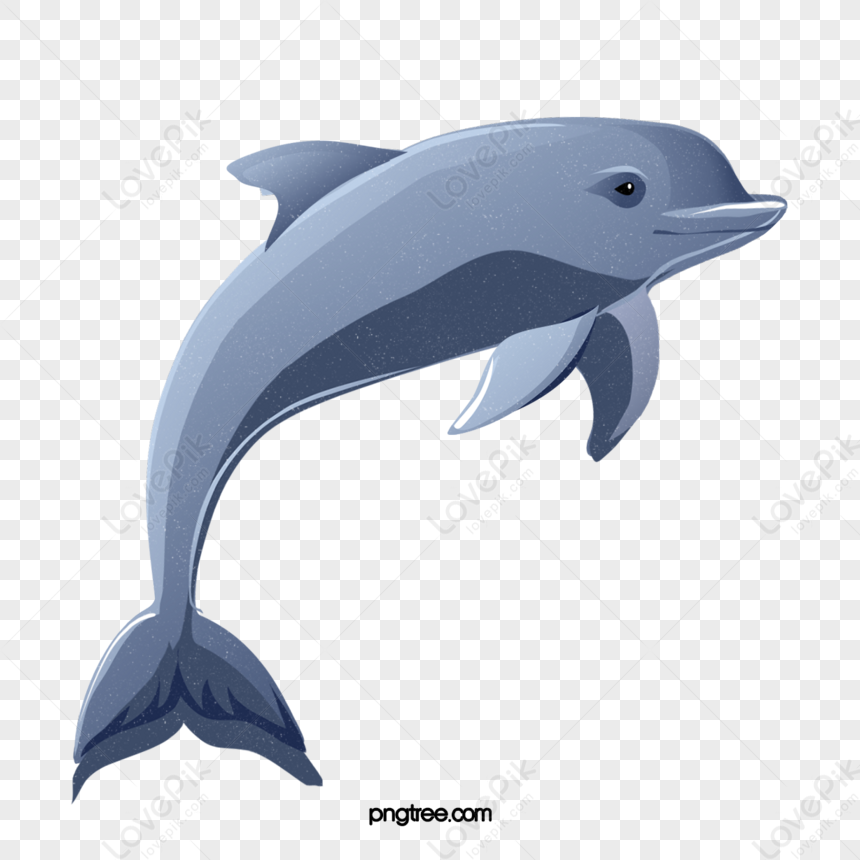 Dolphin Under The Sea Clip art Element Transparent Background 24400597 PNG