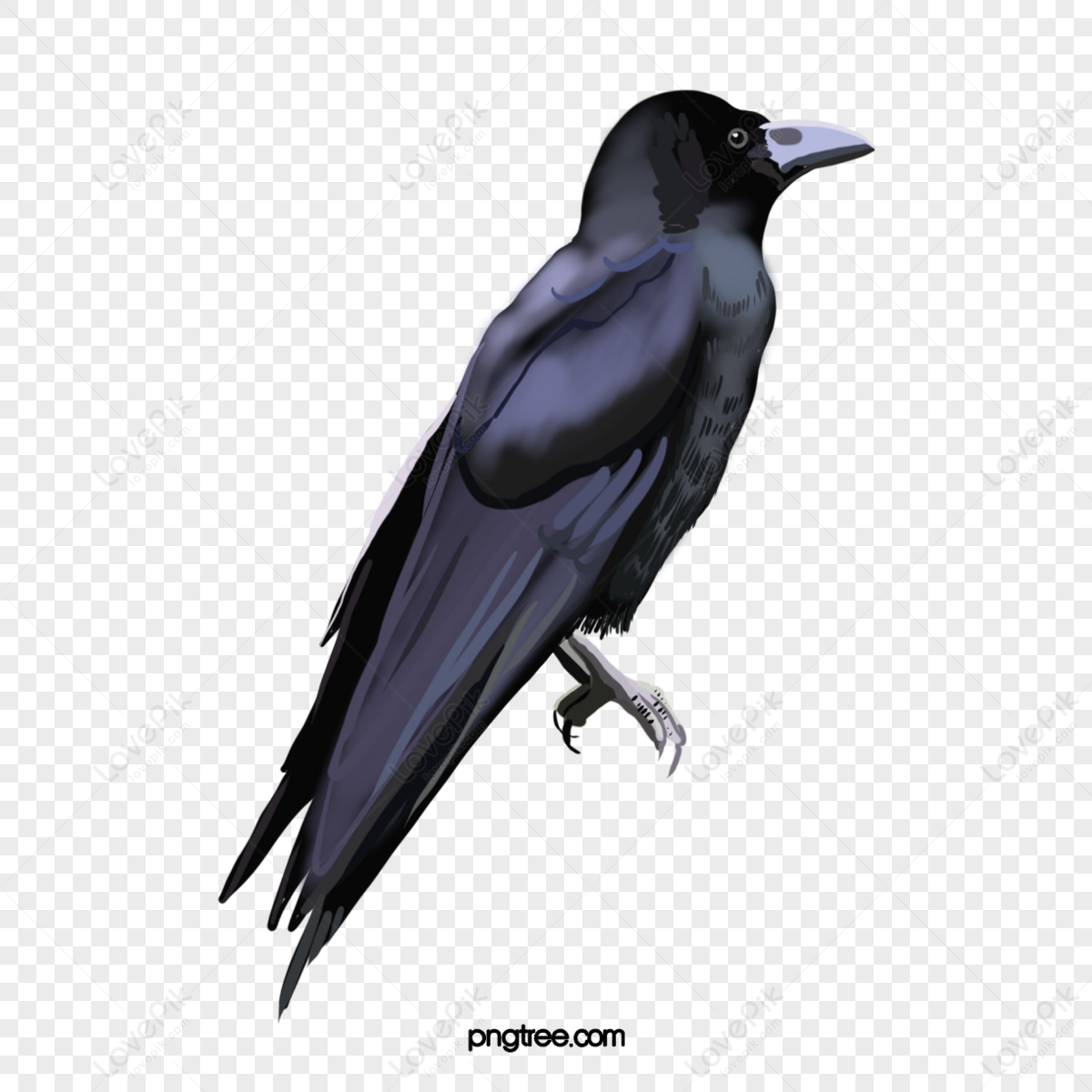 ArtStation - Crow SinClaire, original character design