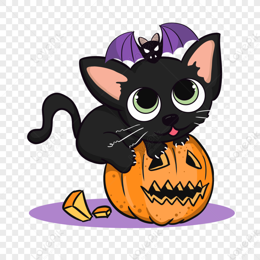 Cute Hand Drawn Cat Licking On Pumpkin,spider,halloween Costume PNG ...