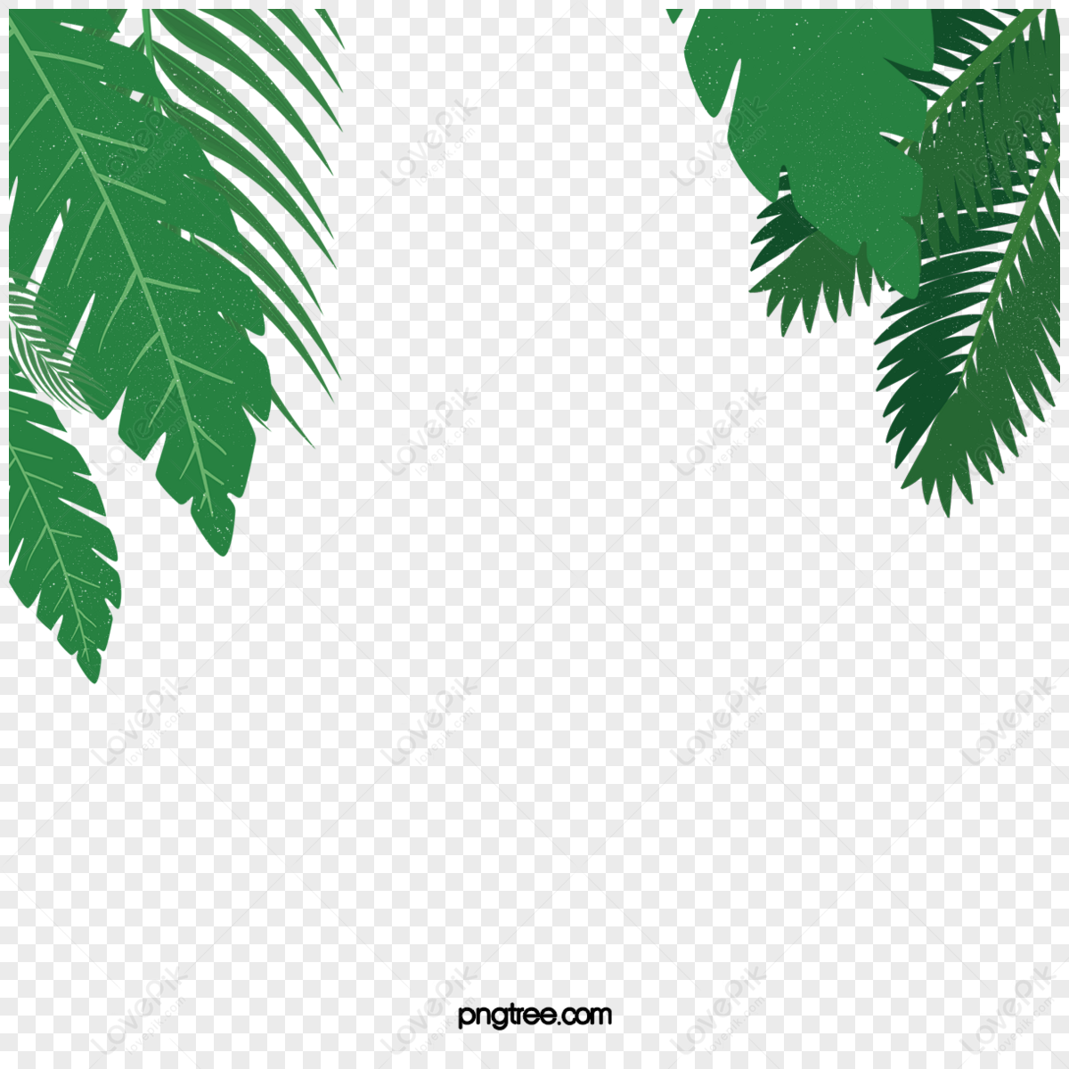 Plant Cartoon Border PNG Images With Transparent Background | Free ...