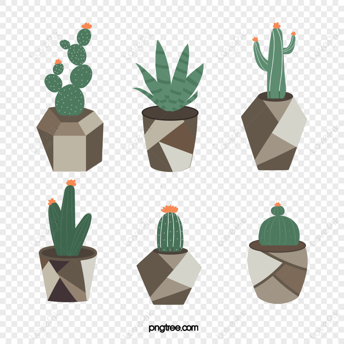 Cactus Collection Vector Design Images, Aesthetic Cactus Sticker  Collection, Aesthetic, Cactus, Sticker PNG Image For Free Download