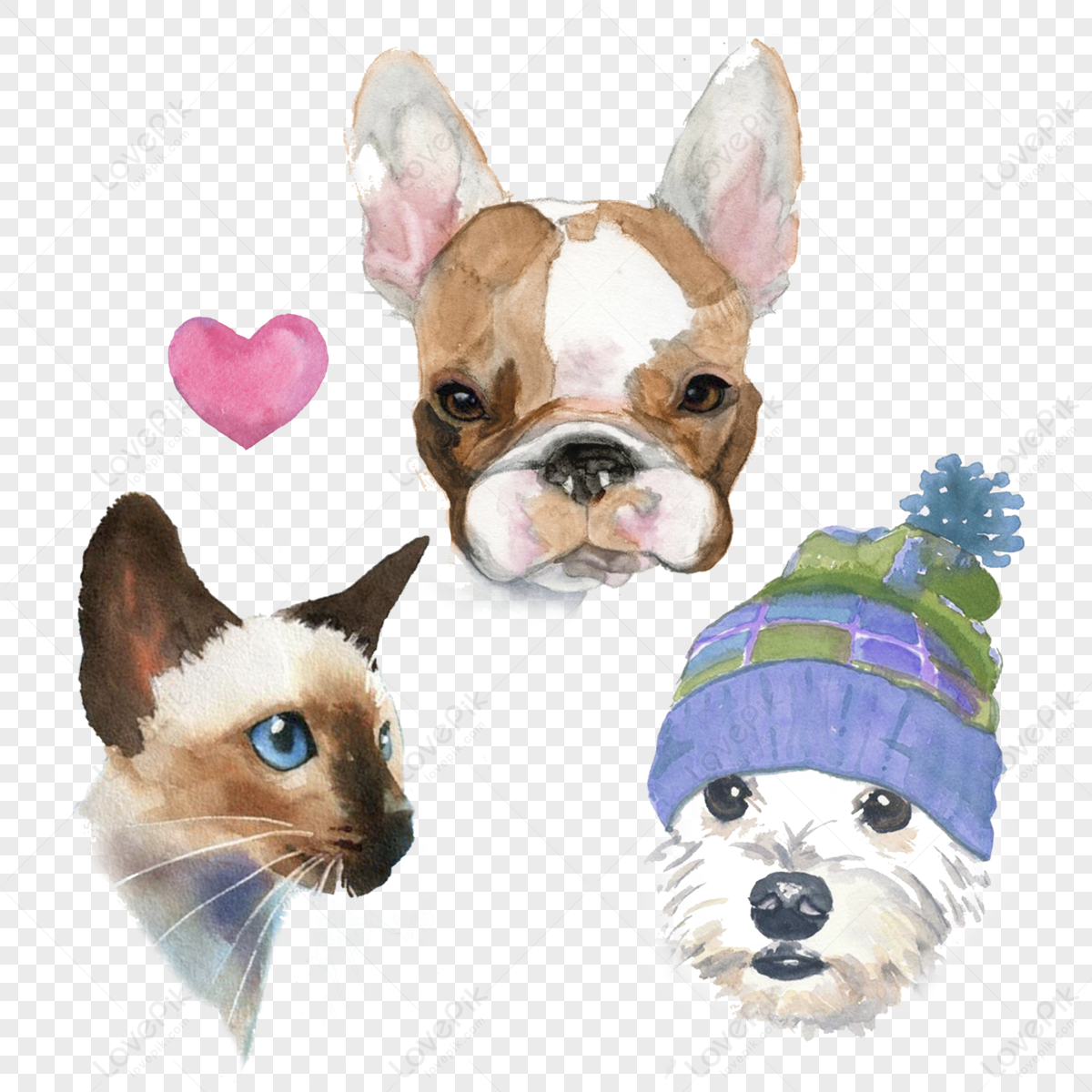 Dog And Cat png download - 768*768 - Free Transparent Cat png Download. -  CleanPNG / KissPNG