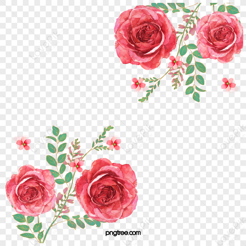 Illustrazione Del Confine Del Fiore Della Rosa Dei Venti Dellacquerello, fiore,foglia PSD Immagine Gratis, Grafica download su Lovepik