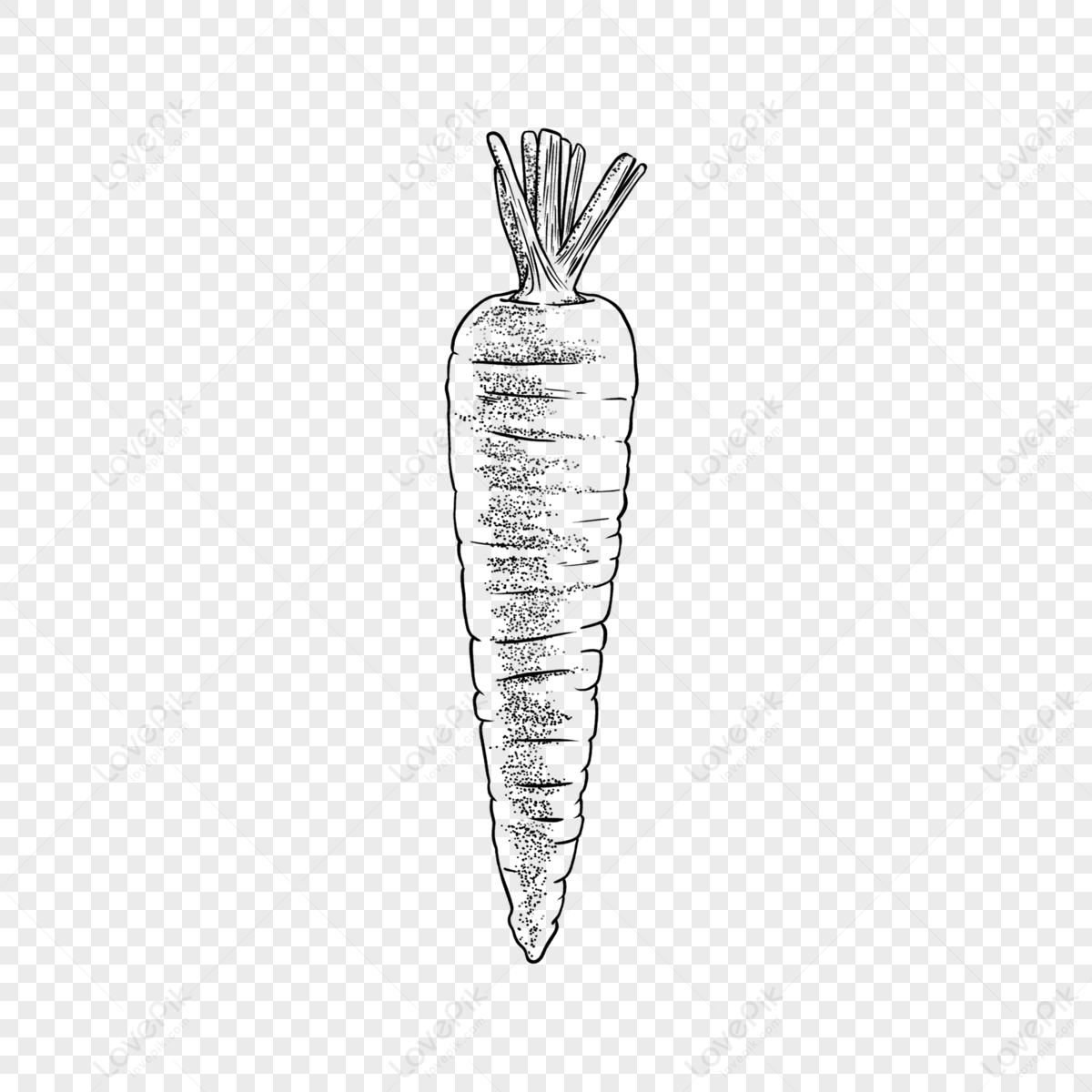 Maddie Hope - Illustrations and Design - carrots illustration - bunch of  carrots coloured pencil | Vegetable illustration, Carrot drawing, Creative  illustration