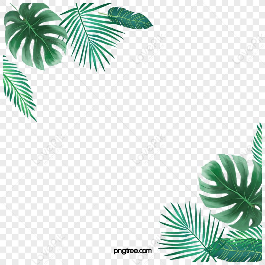 Cartoon Green Leaf Plant Illustration,texture,white,flatlay PNG Image ...