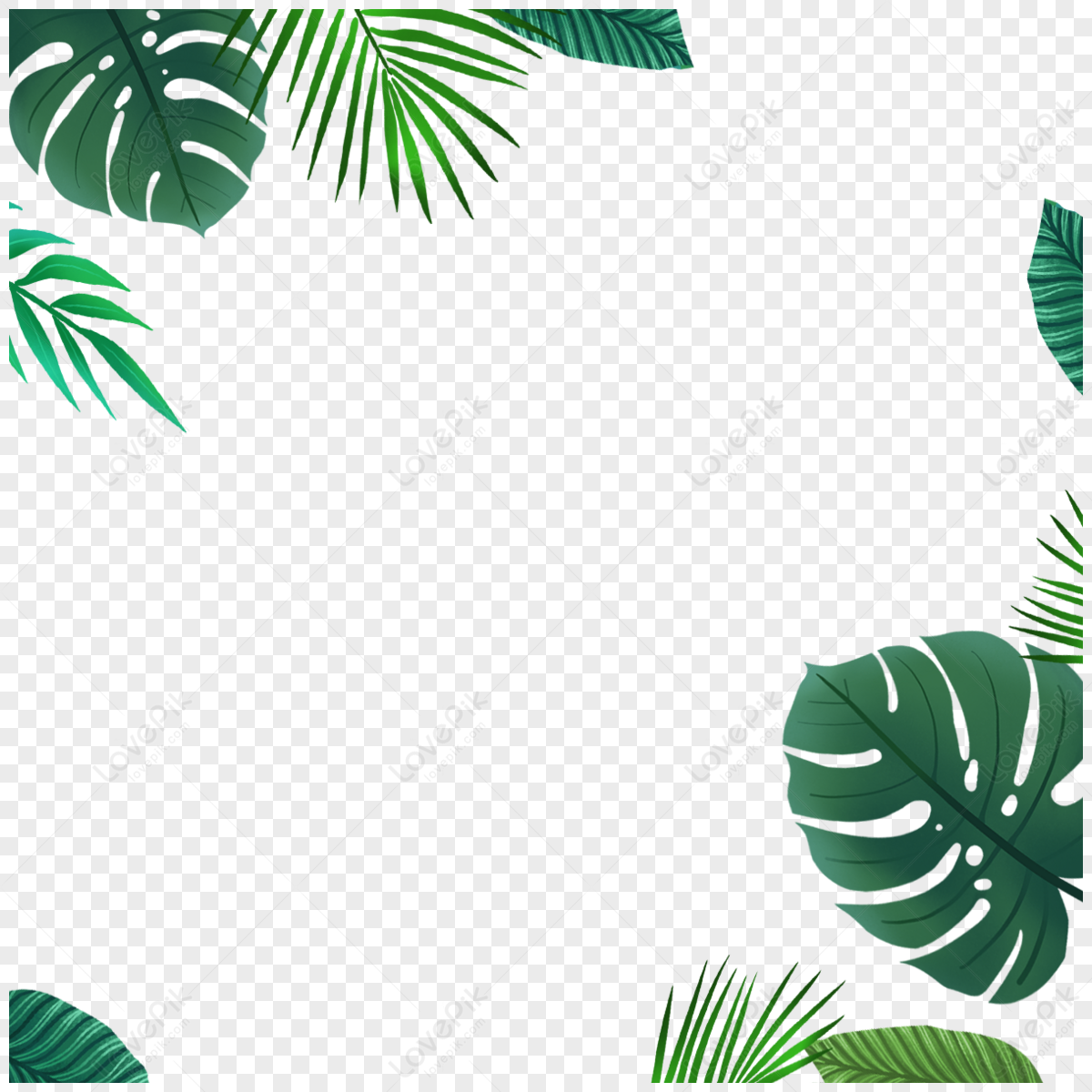 Green Fresh Border PNG Images With Transparent Background | Free ...