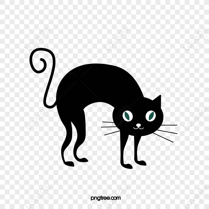 Hình nền mèo: Các mẫu ảnh mèo dễ thương, tải miễn phí