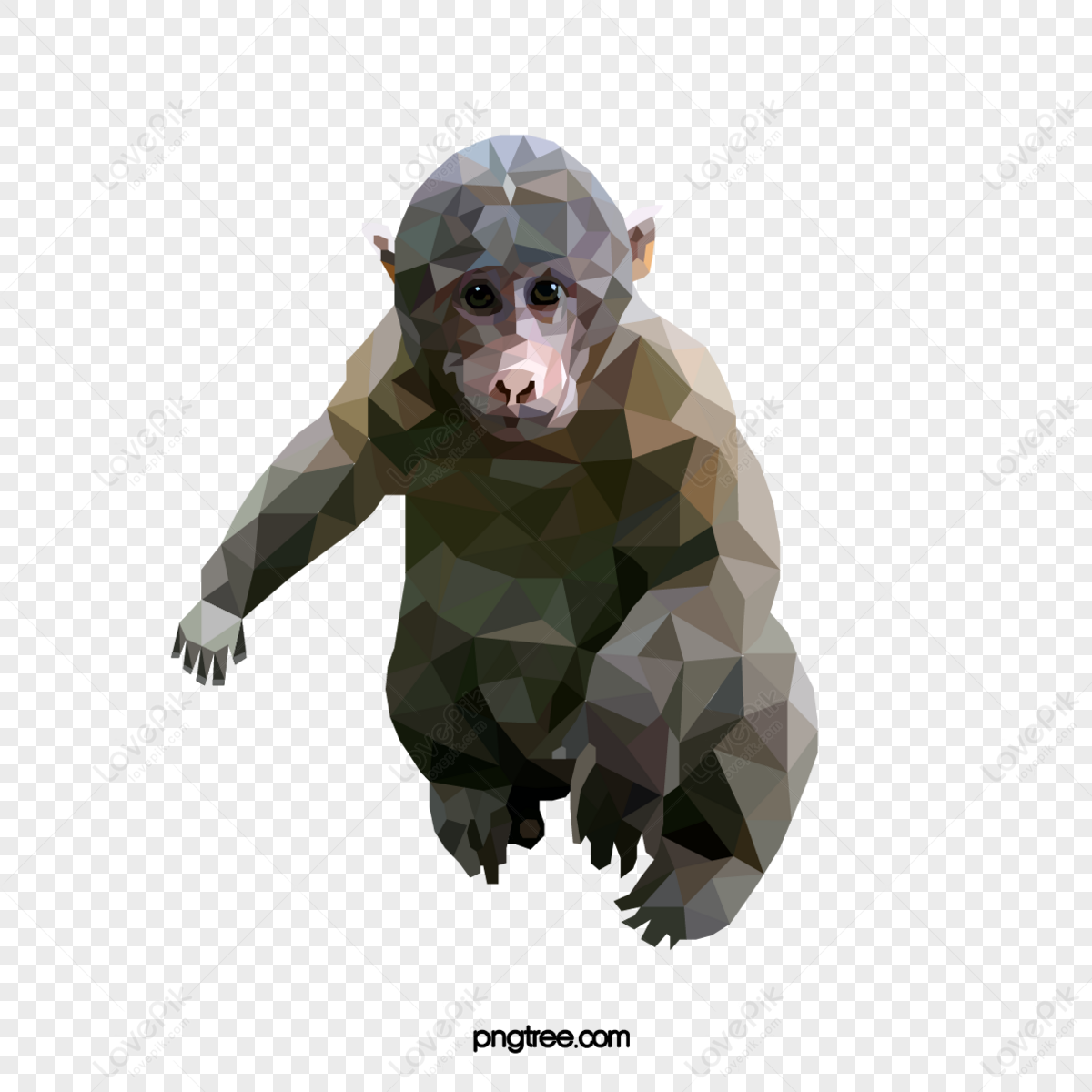 Macaco Bob Zoom Png, Transparent Png , Transparent Png Image - PNGitem