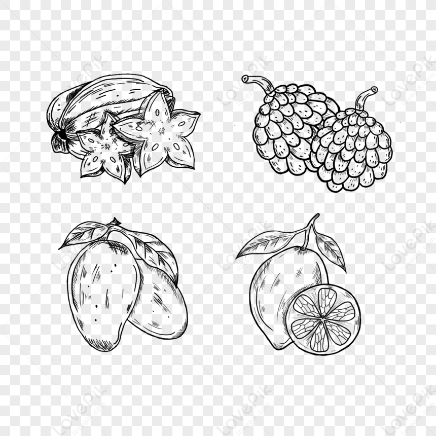 Download Mango, Fruit, Food. Royalty-Free Vector Graphic - Pixabay
