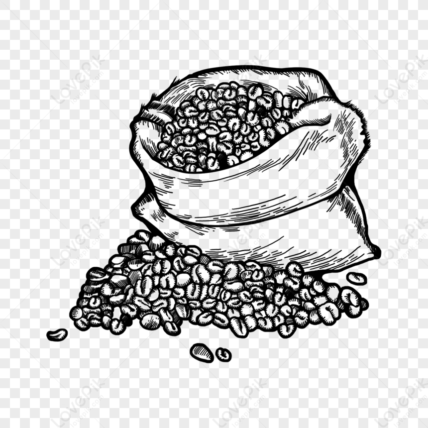 Black And White Line Drawing Coffee Bean Illustration Element,paint ...